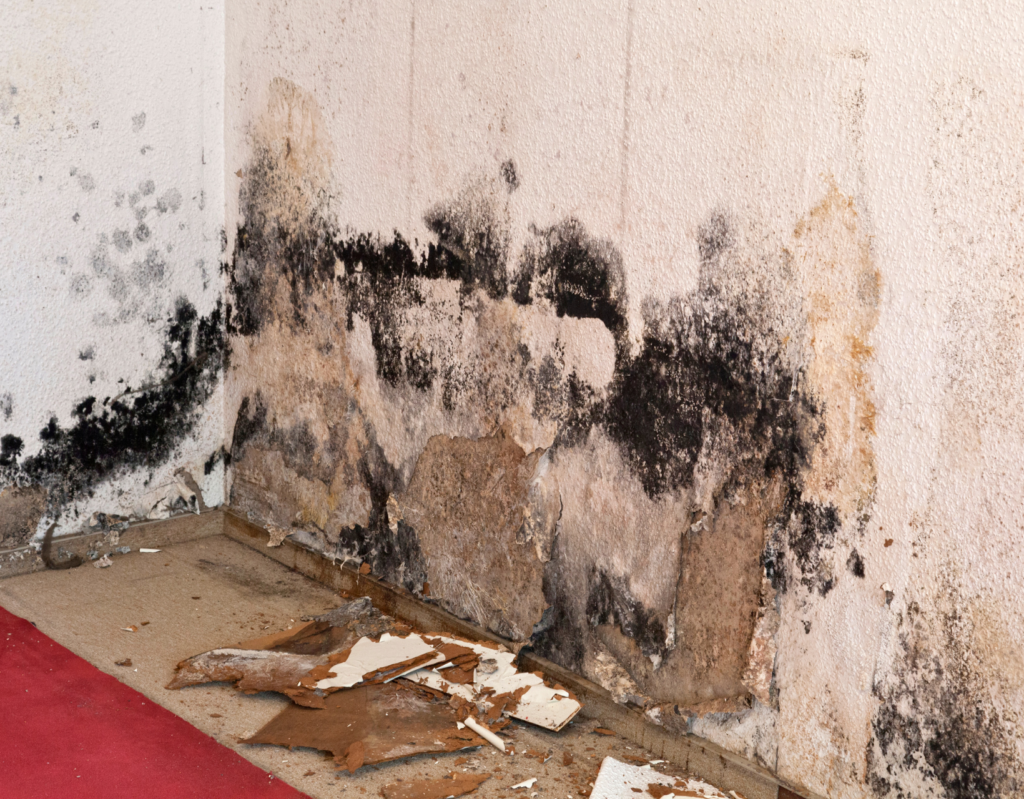 Do's and Don'ts After Water Damage